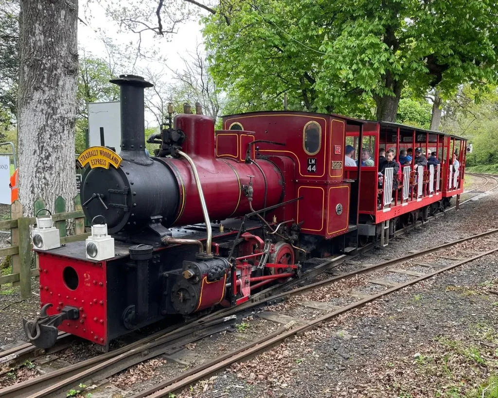 A vintage steam train, the Stradbally Woodland Express, is stopped with passengers seated in an open carriage, set against a backdrop of lush greenery. The locomotive features a prominent chimney and decorative markings, contributing to its charming historical aesthetic.