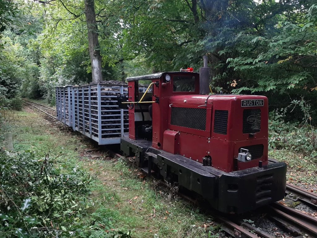 Ruston diesel locomotive pulls a flatbed wagon loaded with logs along a tree-lined narrow-gauge track. The scene captures the charm of industrial heritage amid a lush woodland setting.