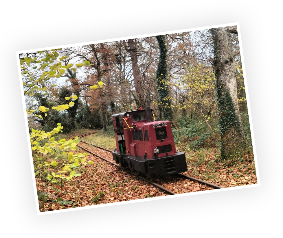 Rustic diesel locomotive traversing autumnal forest tracks, surrounded by fallen leaves and vibrant foliage.