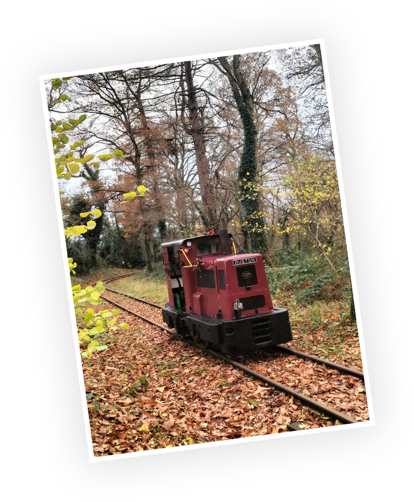 Rustic diesel locomotive traversing autumnal forest tracks, surrounded by fallen leaves and vibrant foliage.