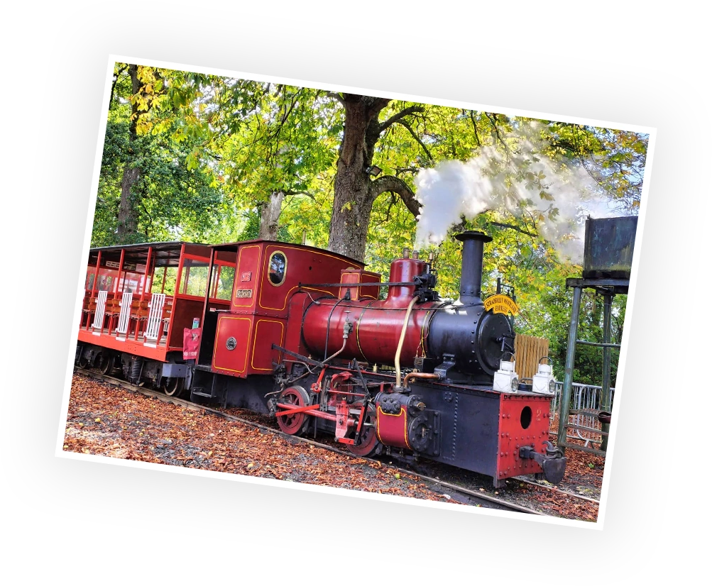 Vintage red steam train, puffing white smoke, situated among lush green trees in a scenic setting. The train features an open carriage and is designed for a charming ride through the countryside.