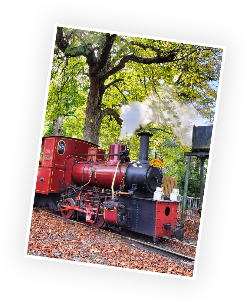 Vintage red steam train, puffing white smoke, situated among lush green trees in a scenic setting. The train features an open carriage and is designed for a charming ride through the countryside.